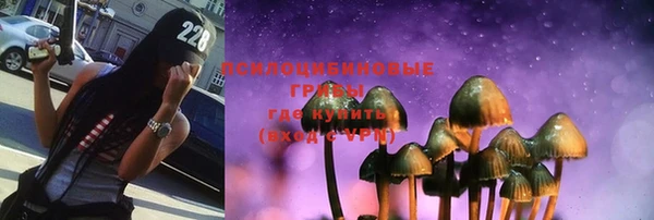 спайс Алексин