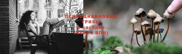 экстази Алексеевка